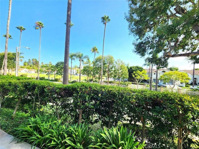 view of community