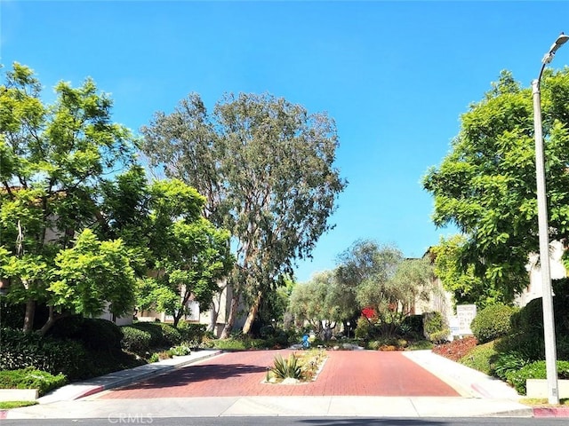 view of property's community