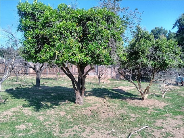 12055 Douglas St, Yucaipa, CA 92399 - view of yard featuring a fenced backyard