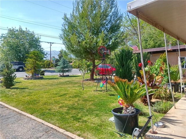 12055 Douglas St, Yucaipa, CA 92399 - view of yard featuring a playground