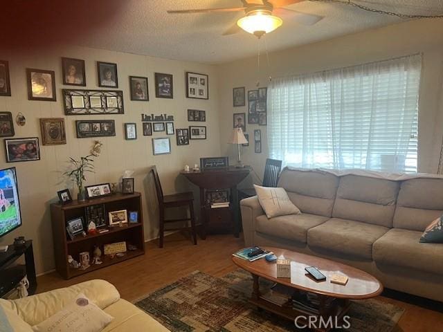 living room featuring a ceiling fan and wood finished floors