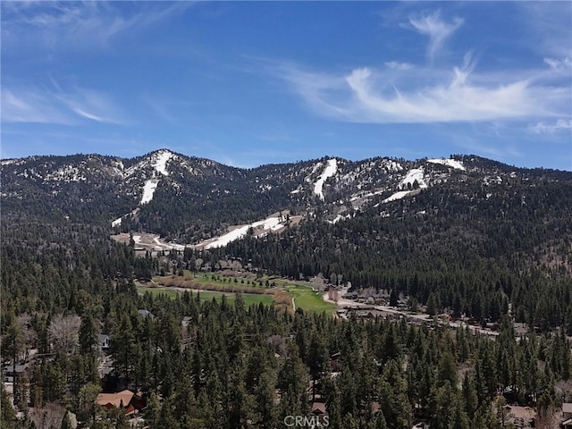 view of mountain feature with a forest view