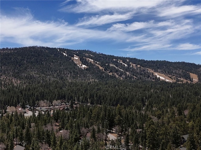 view of mountain feature with a wooded view