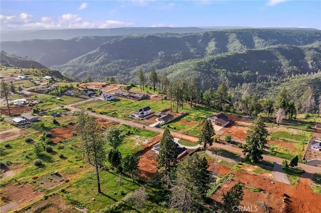 drone / aerial view featuring a mountain view