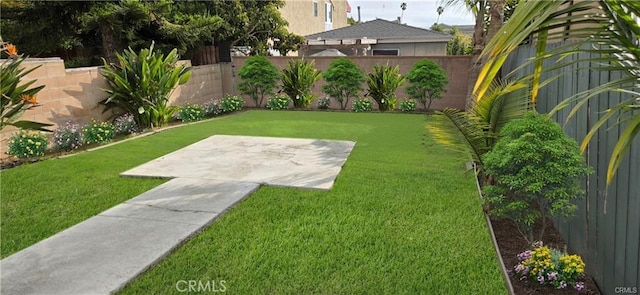 view of yard featuring a patio and a fenced backyard