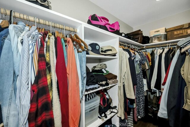view of spacious closet