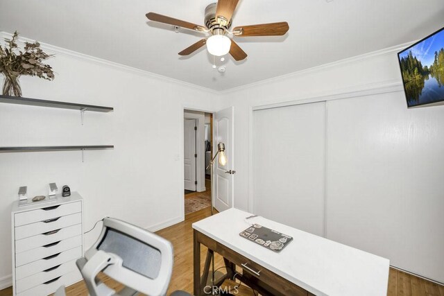 office with light wood finished floors, a ceiling fan, baseboards, and ornamental molding