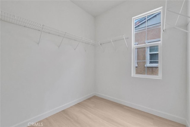 walk in closet featuring wood finished floors