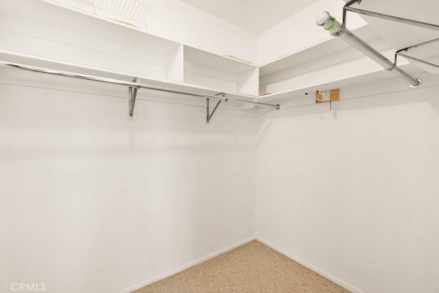 spacious closet featuring light carpet
