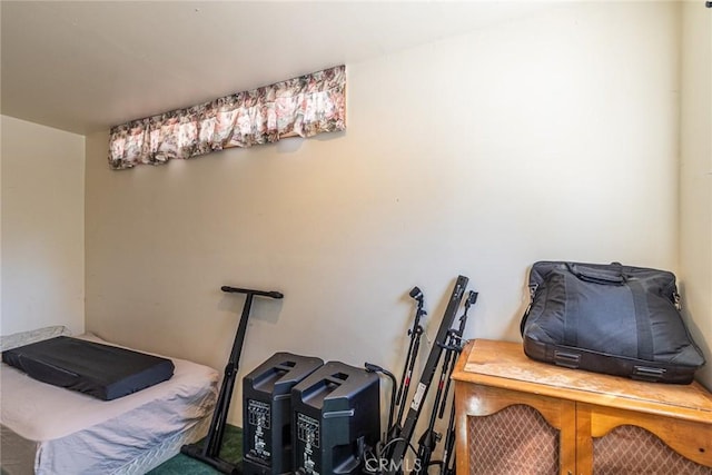 41505 Alder Dr, Forest Falls, CA 92339 - view of storage