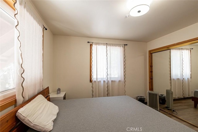 41505 Alder Dr, Forest Falls, CA 92339 - bedroom featuring radiator heating unit, wood finished floors, and a closet