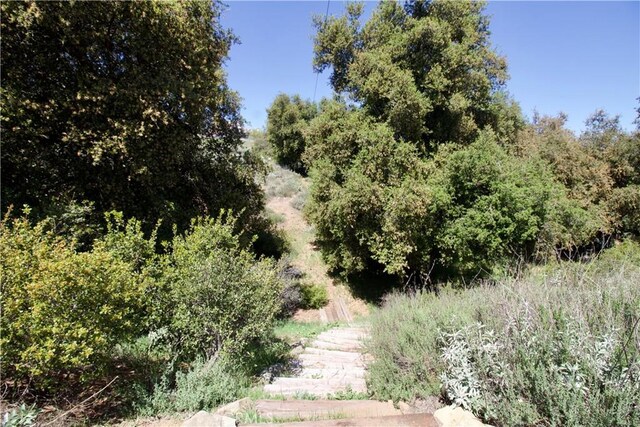 35159 El Dorado St, Lake Elsinore, CA 92530 - photo 56