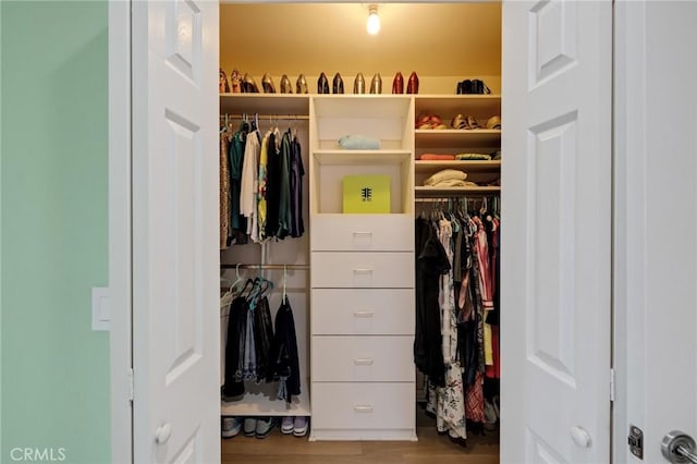 view of closet