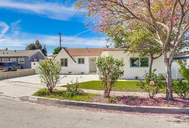 ranch-style house featuring fence, stucco siding, a front yard, and concrete driveway