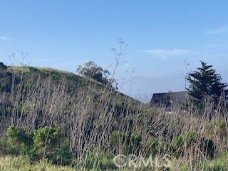 588 Chaney Ave, Cayucos, CA 93430