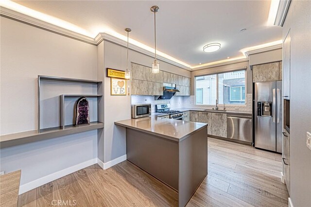 kitchen featuring a peninsula, stainless steel appliances, light wood finished floors, and a sink