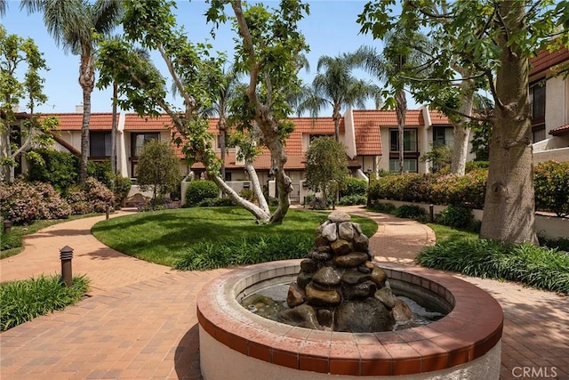 222591/4 Erwin St, Woodland Hills, CA 91367 - photo 23