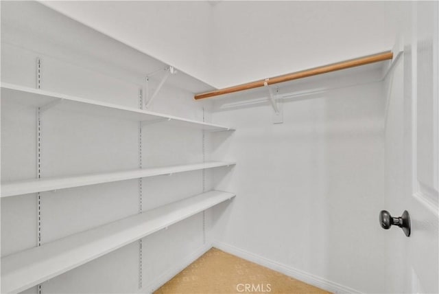view of walk in closet