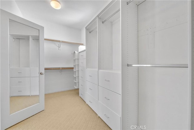 walk in closet with carpet floors