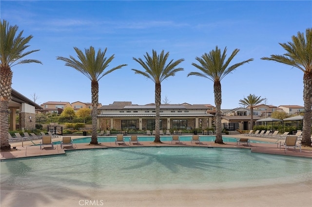 pool featuring a patio area