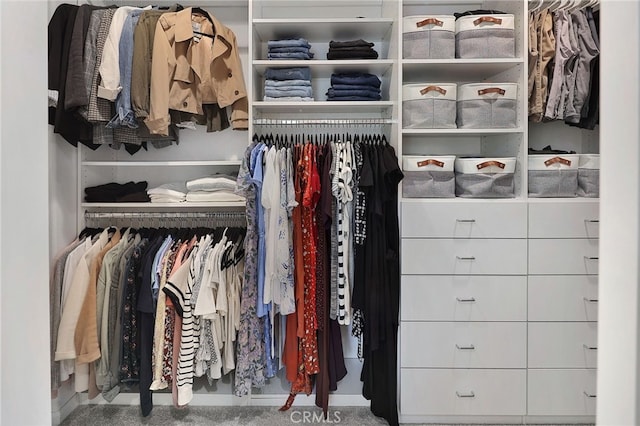 view of closet