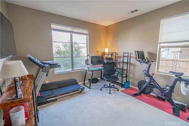 exercise area with visible vents, carpet floors, and baseboards
