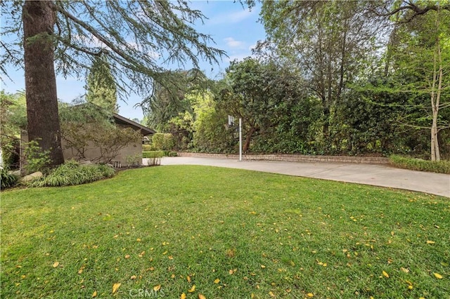 527 Bradford St, Pasadena, CA 91105 - view of yard