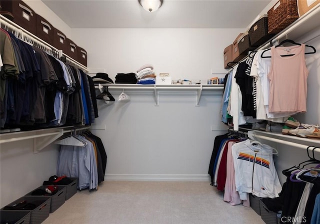 26 Via Fontibre, San Clemente, CA 92673 - walk in closet featuring light carpet