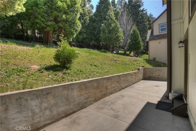 455 Clearwater Ln, Lake Arrowhead, CA 92352 - view of grassy yard
