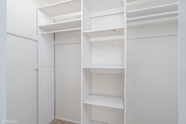 view of walk in closet