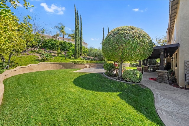 33931 Baystone St, Temecula, CA 92592 - view of green lawn featuring a patio area