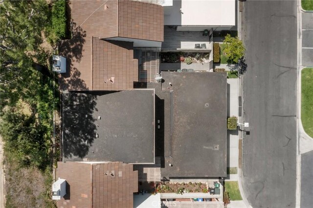 bird's eye view