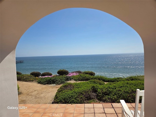 412 Arenoso Ln Unit 102, San Clemente, CA 92672 - water view