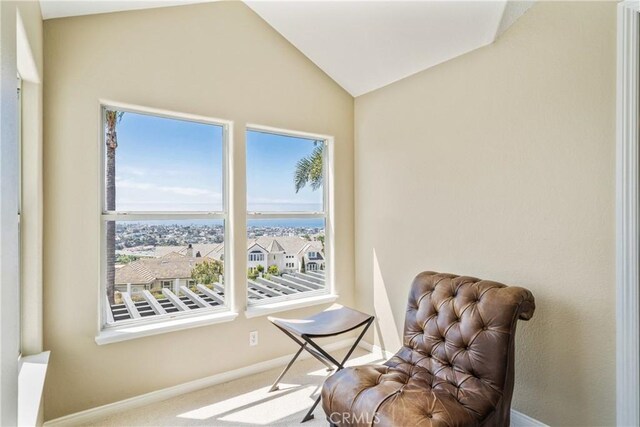 2009 Via Aguila, San Clemente, CA 92673 - living area with lofted ceiling and carpet floors