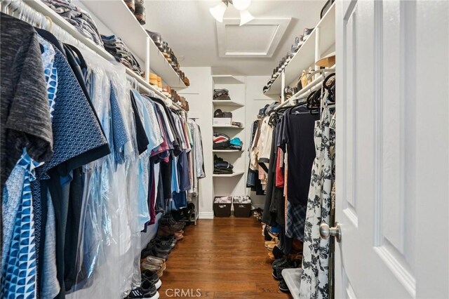 10313 Christine Pl, Chatsworth, CA 91311 - spacious closet featuring attic access and wood finished floors