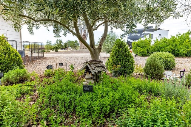1835 Rancho Lomas Way, San Miguel, CA 93451 - view of yard