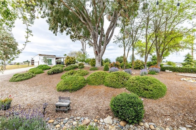 1835 Rancho Lomas Way, San Miguel, CA 93451 - view of yard