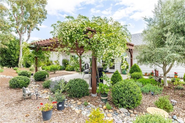 1835 Rancho Lomas Way, San Miguel, CA 93451 - view of yard featuring a pergola and a patio