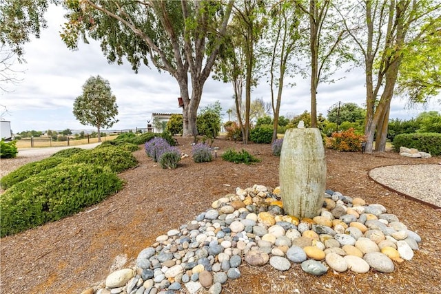 1835 Rancho Lomas Way, San Miguel, CA 93451 - view of yard