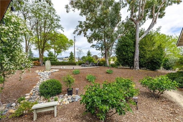 1835 Rancho Lomas Way, San Miguel, CA 93451 - view of yard