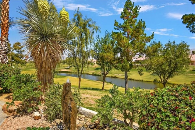 80818 Camino Santa Elise, Indio, CA 92203 - photo 39