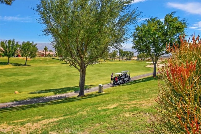 80818 Camino Santa Elise, Indio, CA 92203 - photo 38