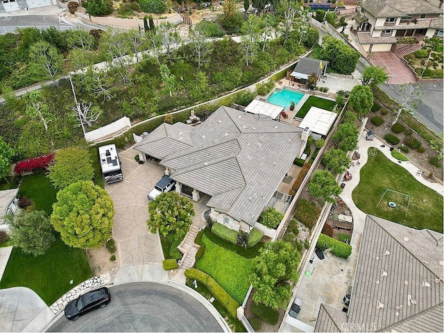 bird's eye view