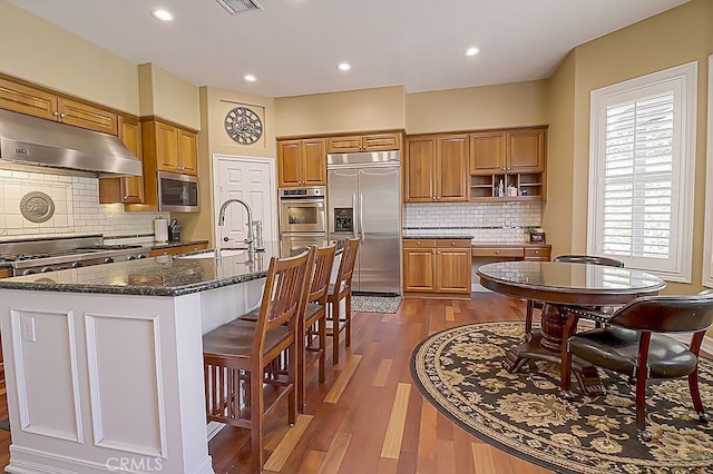 kitchen featuring tasteful backsplash, a sink, stainless steel appliances, under cabinet range hood, and dark wood-type flooring