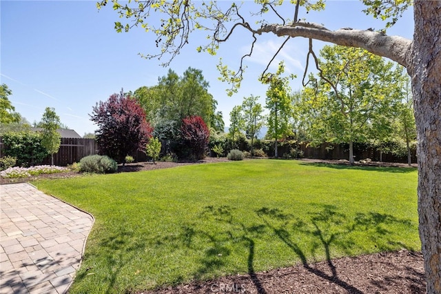 view of yard featuring a patio area and a fenced backyard