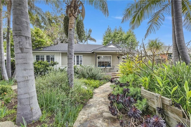 view of front of house featuring a shingled roof and stucco siding