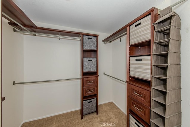 walk in closet with light colored carpet