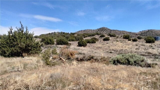 0 Wisconsin St, Acton, CA 93510