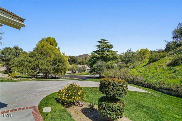 surrounding community featuring a yard