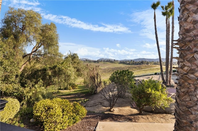 30145 Via Norte, Temecula, CA 92591 - photo 45
